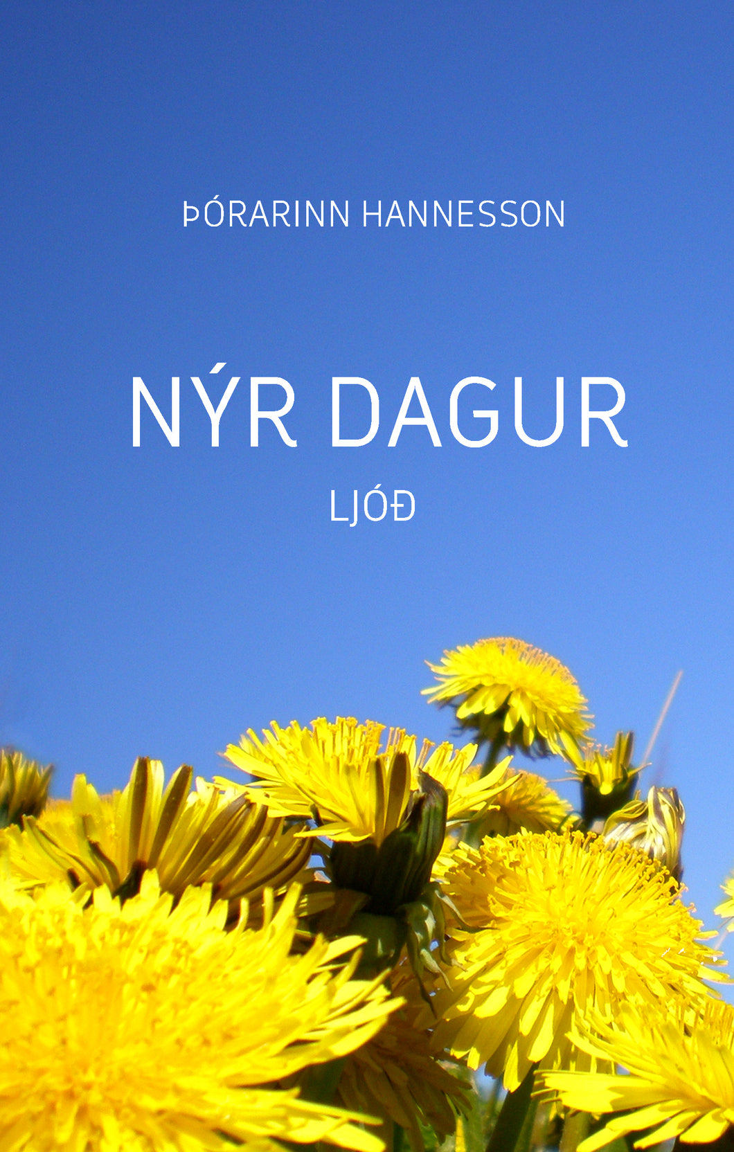 Nýr dagur <br><small><i>Þórarinn Hannesson</i></small></p>